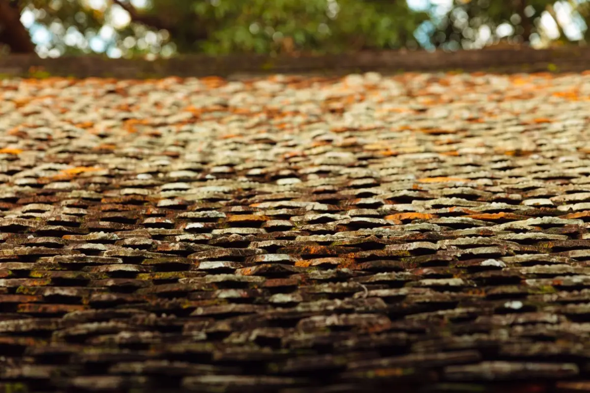 Aging shingle roof with moss growth and granule loss in Hayward, CA